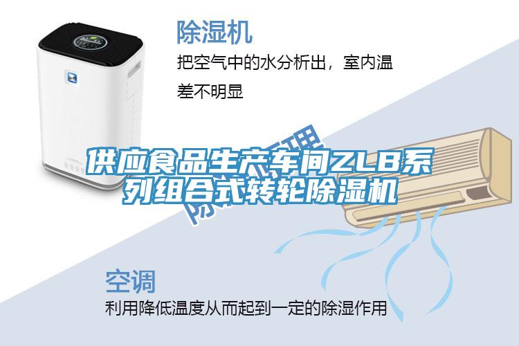 供應(yīng)食品生產(chǎn)車間ZLB系列組合式轉(zhuǎn)輪除濕機(jī)