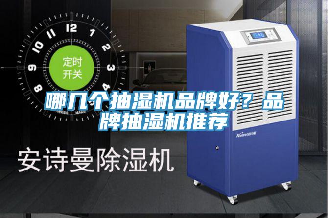 哪幾個抽濕機品牌好？品牌抽濕機推薦