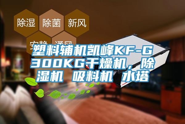 塑料輔機凱峰KF-G300KG干燥機，除濕機 吸料機 水塔