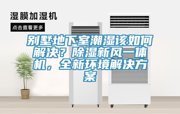 別墅地下室潮濕該如何解決？除濕新風(fēng)一體機(jī)，全新環(huán)境解決方案