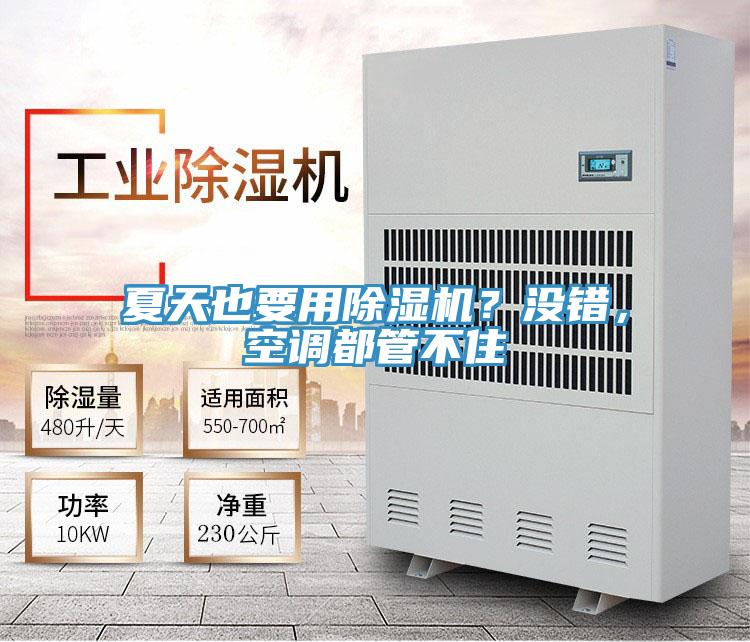 夏天也要用除濕機(jī)？沒錯，空調(diào)都管不住