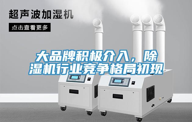 大品牌積極介入，除濕機(jī)行業(yè)競爭格局初現(xiàn)