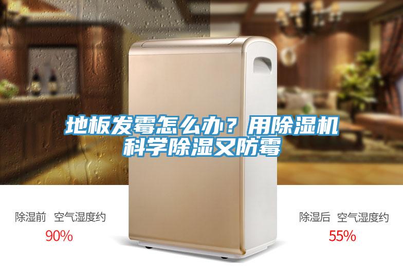 地板發(fā)霉怎么辦？用除濕機(jī)科學(xué)除濕又防霉
