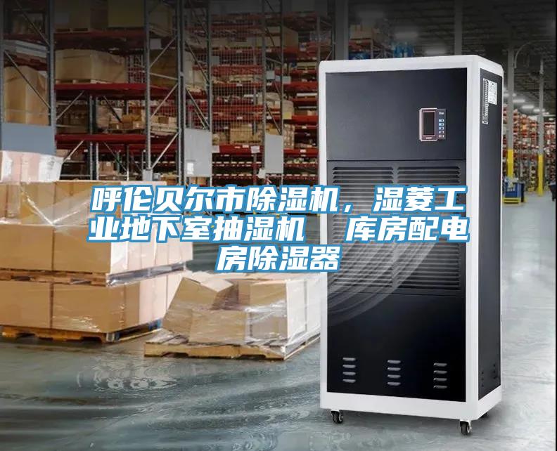 呼倫貝爾市除濕機，濕菱工業(yè)地下室抽濕機  庫房配電房除濕器
