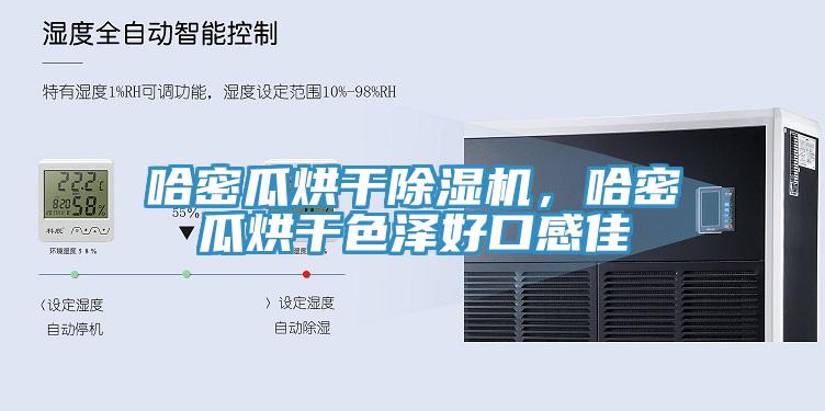 哈密瓜烘干除濕機(jī)，哈密瓜烘干色澤好口感佳