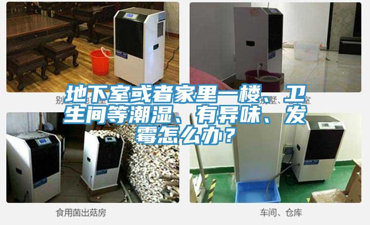 地下室或者家里一樓、衛(wèi)生間等潮濕、有異味、發(fā)霉怎么辦？