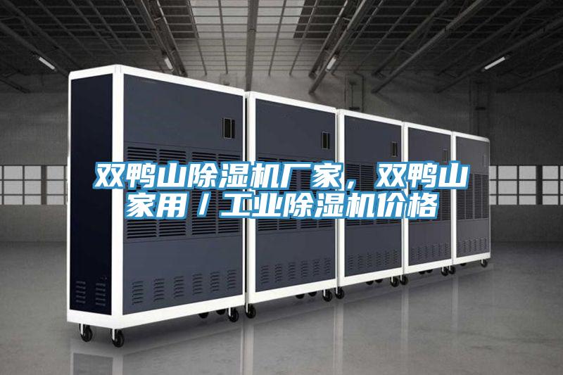 雙鴨山除濕機(jī)廠家，雙鴨山家用／工業(yè)除濕機(jī)價(jià)格