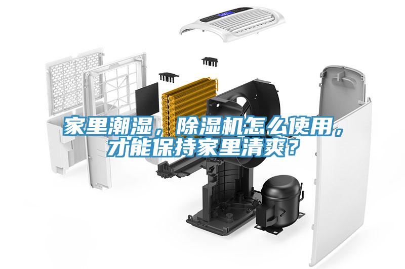 家里潮濕，除濕機怎么使用，才能保持家里清爽？