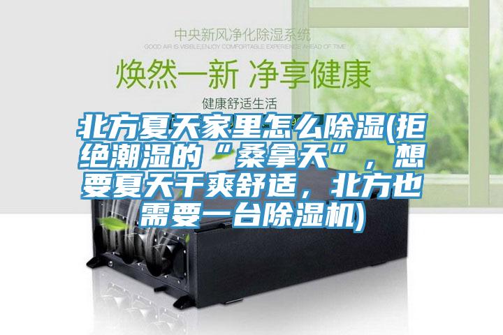 北方夏天家里怎么除濕(拒絕潮濕的“桑拿天”，想要夏天干爽舒適，北方也需要一臺除濕機)