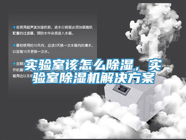 實(shí)驗(yàn)室該怎么除濕，實(shí)驗(yàn)室除濕機(jī)解決方案