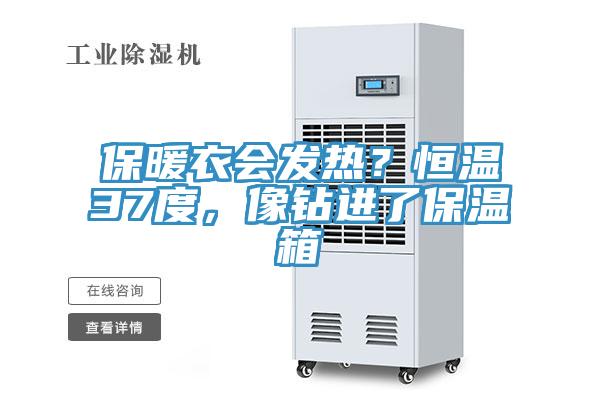 保暖衣會發(fā)熱？恒溫37度，像鉆進(jìn)了保溫箱