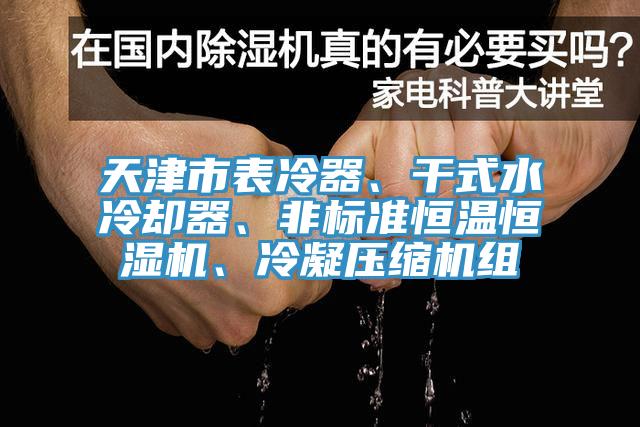 天津市表冷器、干式水冷卻器、非標(biāo)準(zhǔn)恒溫恒濕機(jī)、冷凝壓縮機(jī)組