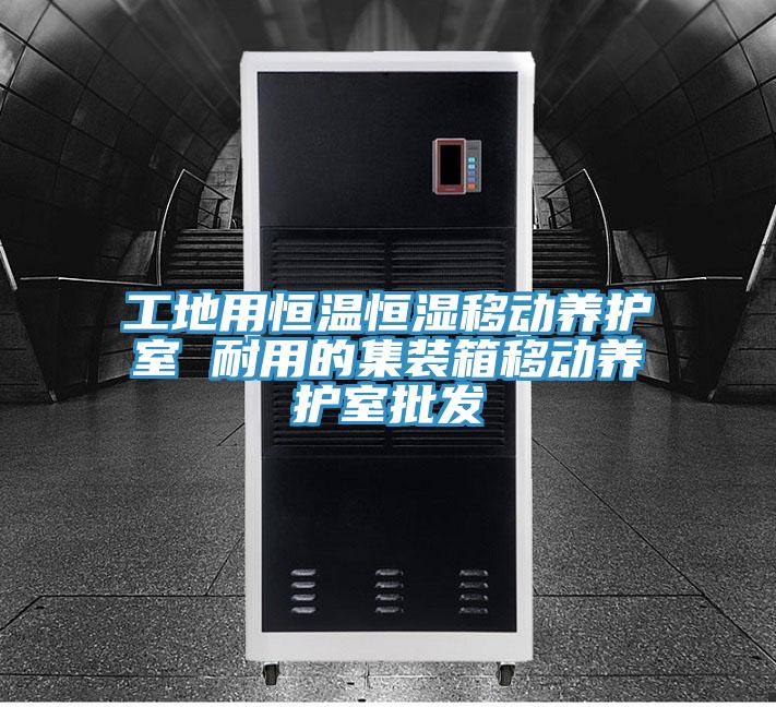 工地用恒溫恒濕移動養(yǎng)護(hù)室 耐用的集裝箱移動養(yǎng)護(hù)室批發(fā)