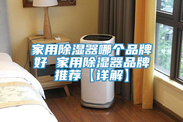 家用除濕器哪個(gè)品牌好 家用除濕器品牌推薦【詳解】