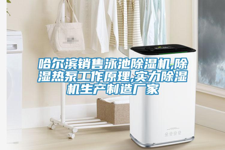 哈爾濱銷售泳池除濕機,除濕熱泵工作原理,實力除濕機生產(chǎn)制造廠家