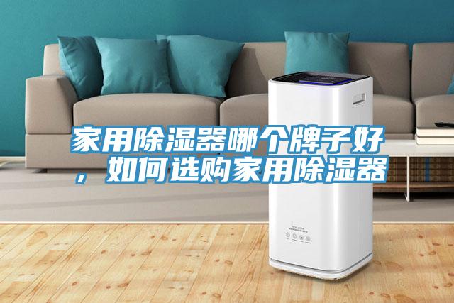 家用除濕器哪個(gè)牌子好，如何選購(gòu)家用除濕器