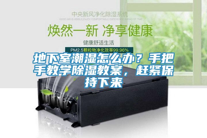 地下室潮濕怎么辦？手把手教學除濕教案，趕緊保持下來