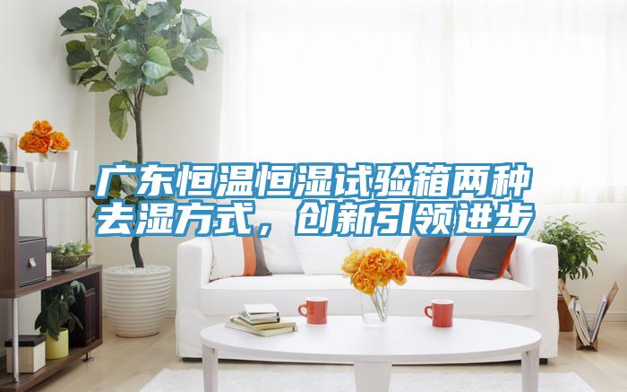 廣東恒溫恒濕試驗箱兩種去濕方式，創(chuàng)新引領進步