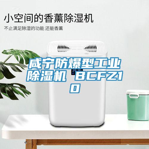 咸寧防爆型工業(yè)除濕機 BCFZ10