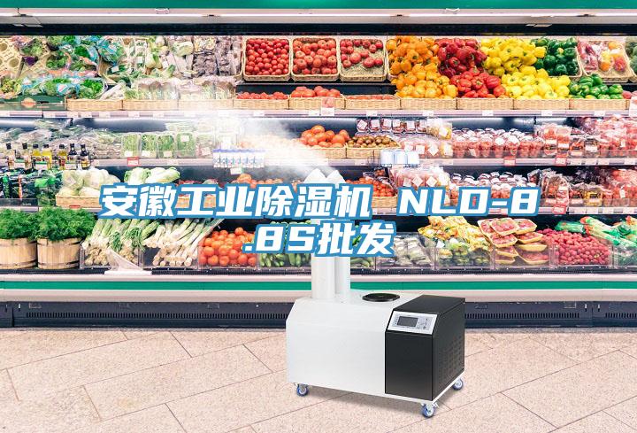 安徽工業(yè)除濕機(jī) NLD-8.8S批發(fā)