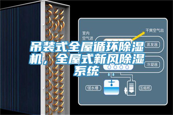 吊裝式全屋循環(huán)除濕機(jī)，全屋式新風(fēng)除濕系統(tǒng)