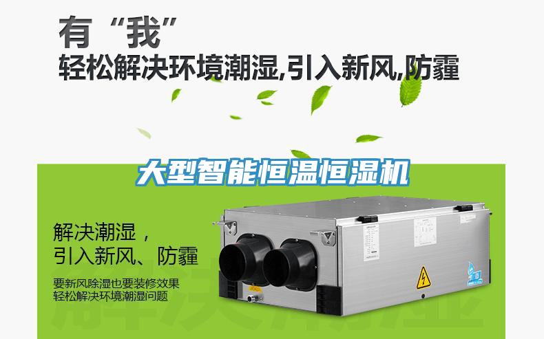 大型智能恒溫恒濕機(jī)