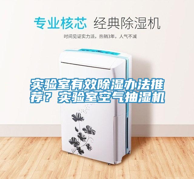 實驗室有效除濕辦法推薦？實驗室空氣抽濕機