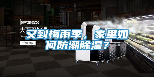 又到梅雨季，家里如何防潮除濕？