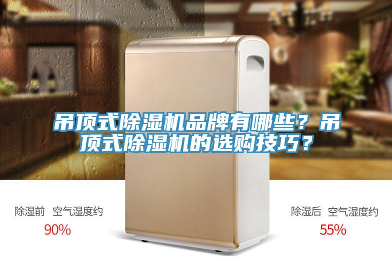 吊頂式除濕機品牌有哪些？吊頂式除濕機的選購技巧？