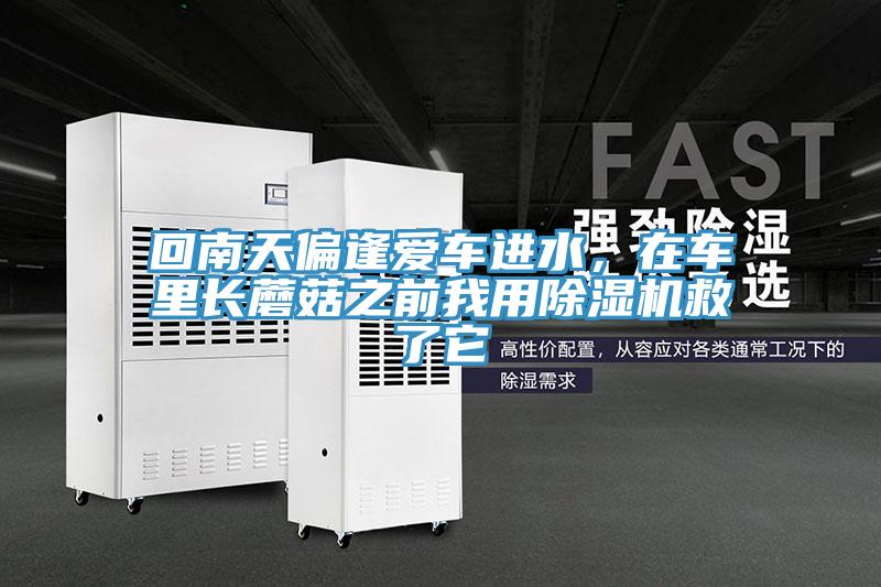 回南天偏逢愛車進(jìn)水，在車?yán)镩L蘑菇之前我用除濕機(jī)救了它