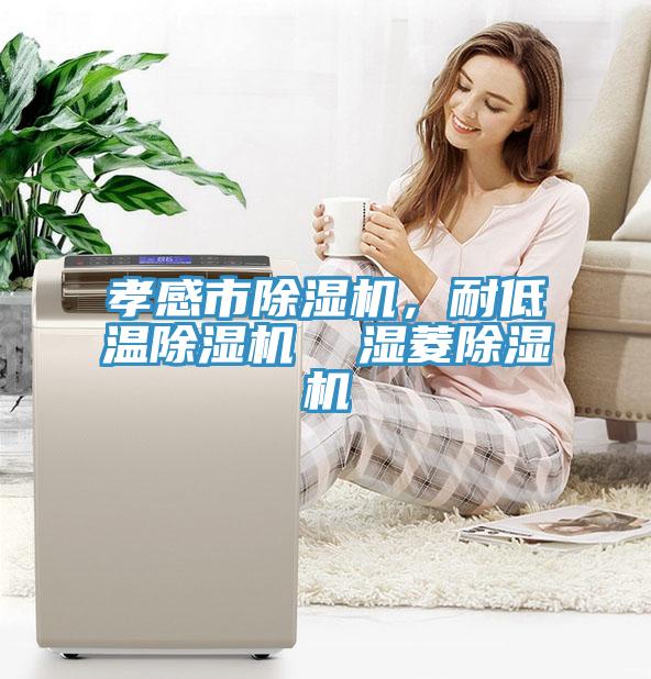 孝感市除濕機(jī)，耐低溫除濕機(jī)  濕菱除濕機(jī)