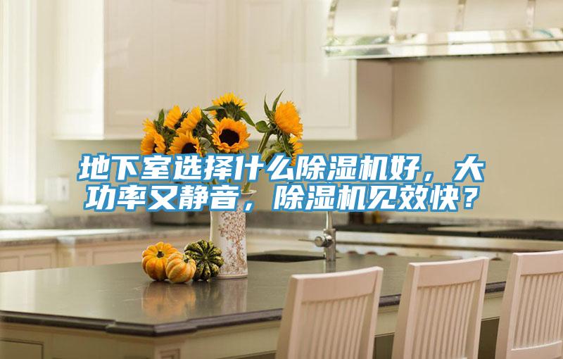 地下室選擇什么除濕機好，大功率又靜音，除濕機見效快？