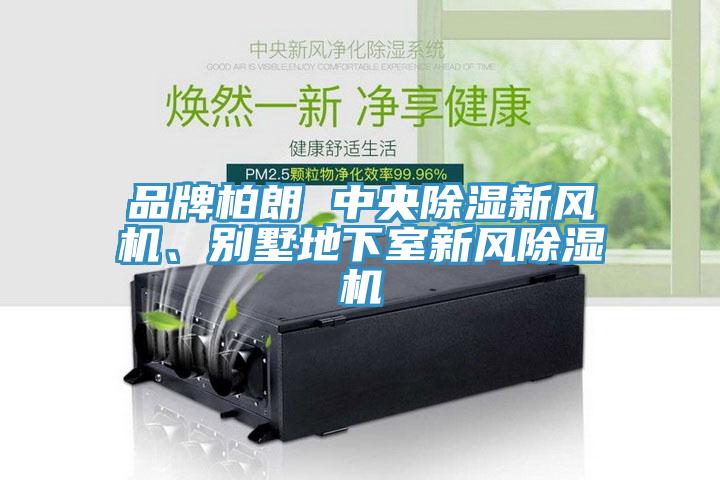品牌柏朗 中央除濕新風(fēng)機(jī)、別墅地下室新風(fēng)除濕機(jī)