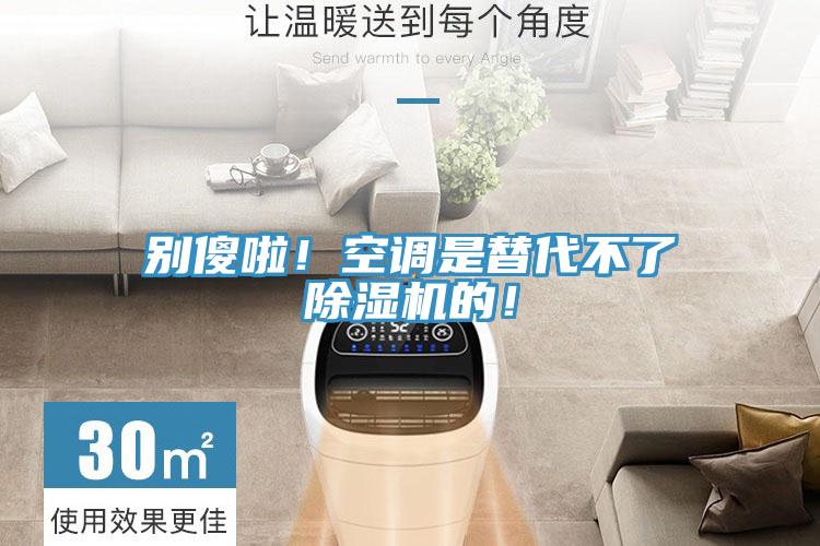 別傻啦！空調(diào)是替代不了除濕機的！