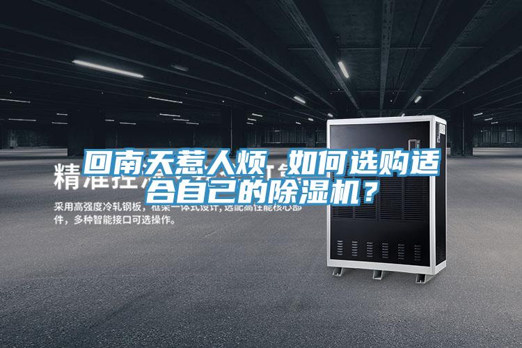 回南天惹人煩 如何選購適合自己的除濕機？