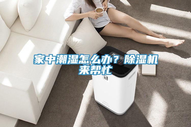 家中潮濕怎么辦？除濕機(jī)來(lái)幫忙