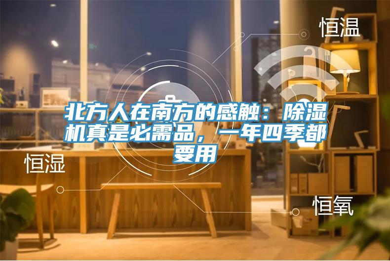 北方人在南方的感觸：除濕機真是必需品，一年四季都要用