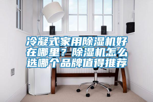 冷凝式家用除濕機好在哪里？除濕機怎么選哪個品牌值得推薦