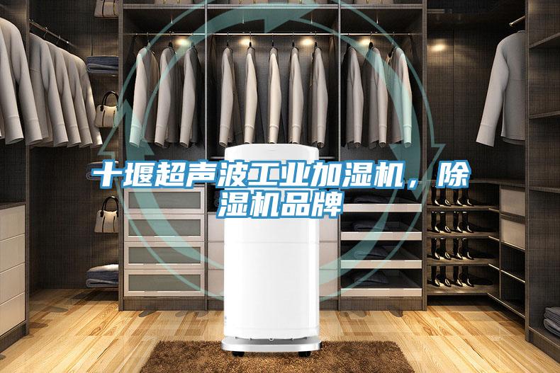 十堰超聲波工業(yè)加濕機(jī)，除濕機(jī)品牌