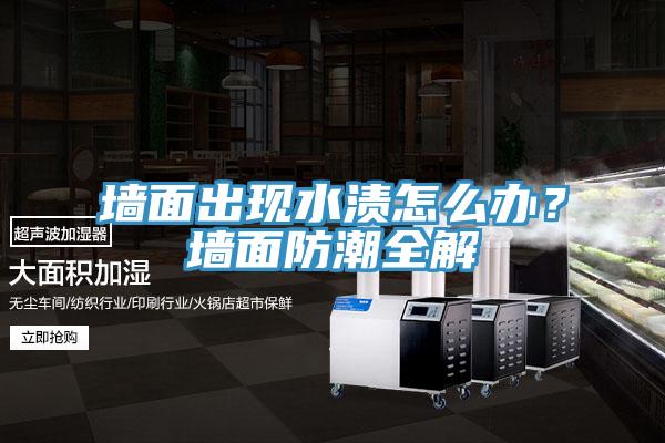 墻面出現(xiàn)水漬怎么辦？墻面防潮全解