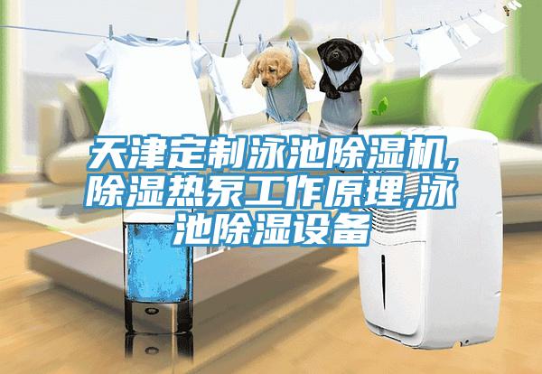 天津定制泳池除濕機(jī),除濕熱泵工作原理,泳池除濕設(shè)備
