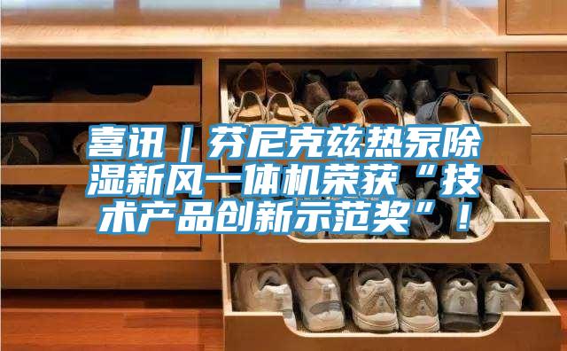 喜訊｜芬尼克茲熱泵除濕新風一體機榮獲“技術(shù)產(chǎn)品創(chuàng)新示范獎”！