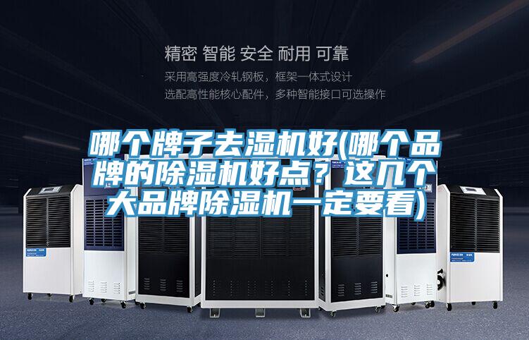 哪個牌子去濕機好(哪個品牌的除濕機好點？這幾個大品牌除濕機一定要看)