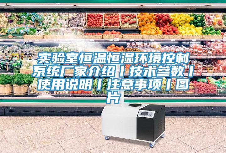實(shí)驗(yàn)室恒溫恒濕環(huán)境控制系統(tǒng)廠家介紹丨技術(shù)參數(shù)丨使用說明丨注意事項(xiàng)丨圖片