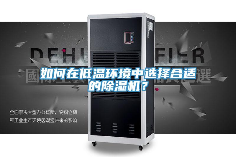 如何在低溫環(huán)境中選擇合適的除濕機？