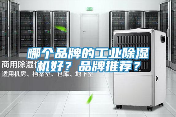 哪個(gè)品牌的工業(yè)除濕機(jī)好？品牌推薦？