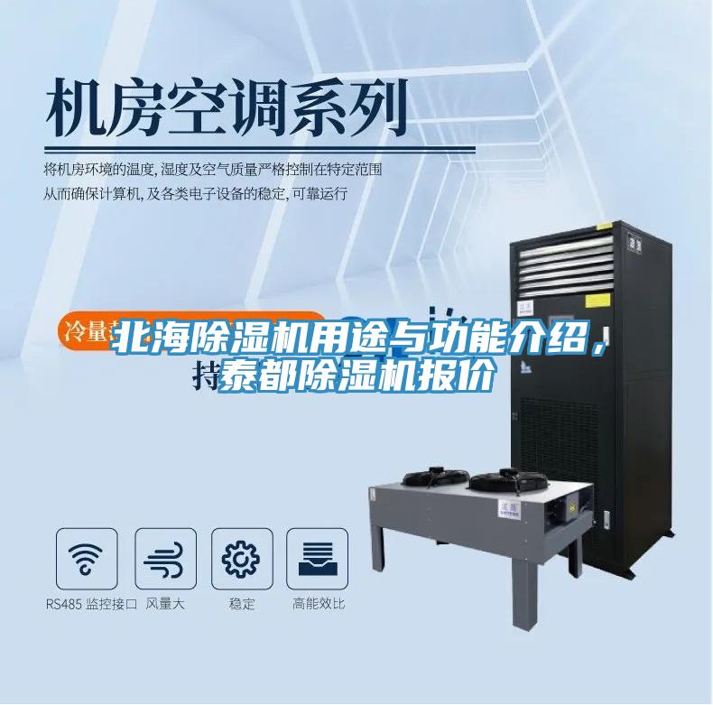 北海除濕機用途與功能介紹，泰都除濕機報價