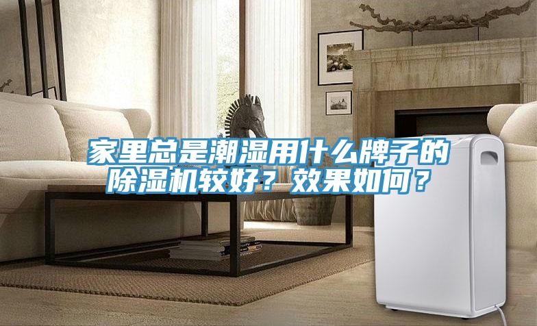 家里總是潮濕用什么牌子的除濕機(jī)較好？效果如何？