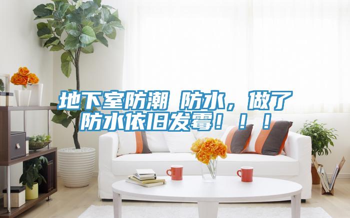 地下室防潮≠防水，做了防水依舊發(fā)霉！??！