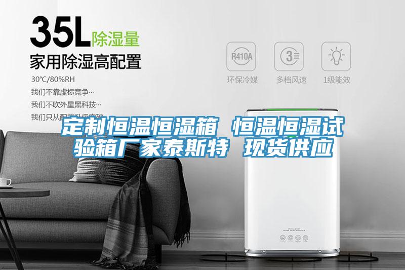 定制恒溫恒濕箱 恒溫恒濕試驗箱廠家泰斯特 現(xiàn)貨供應